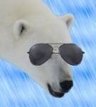 Avatar von Polar